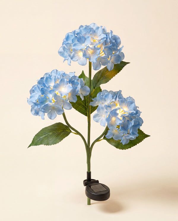L'Hortensia solaire