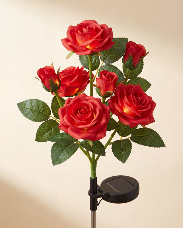 La Rose solaire