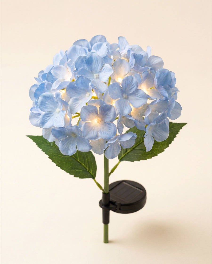 L'Hortensia solaire