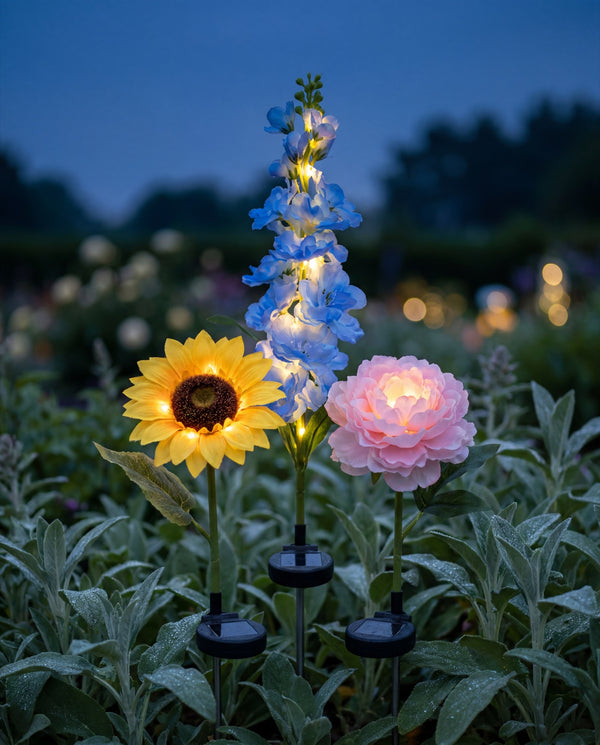 Trio de fleurs solaires plantées ensemble dans un jardin illuminé au crépuscule