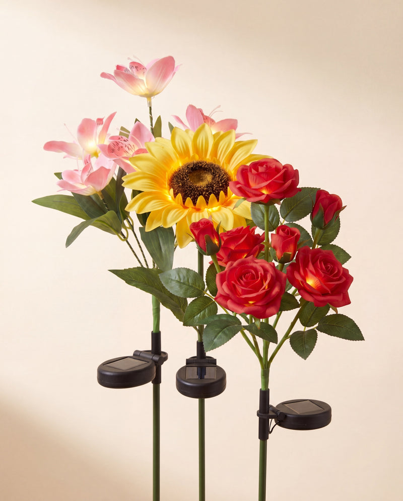 Trio Découverte — tournesol, orchidée et rose solaires réunis